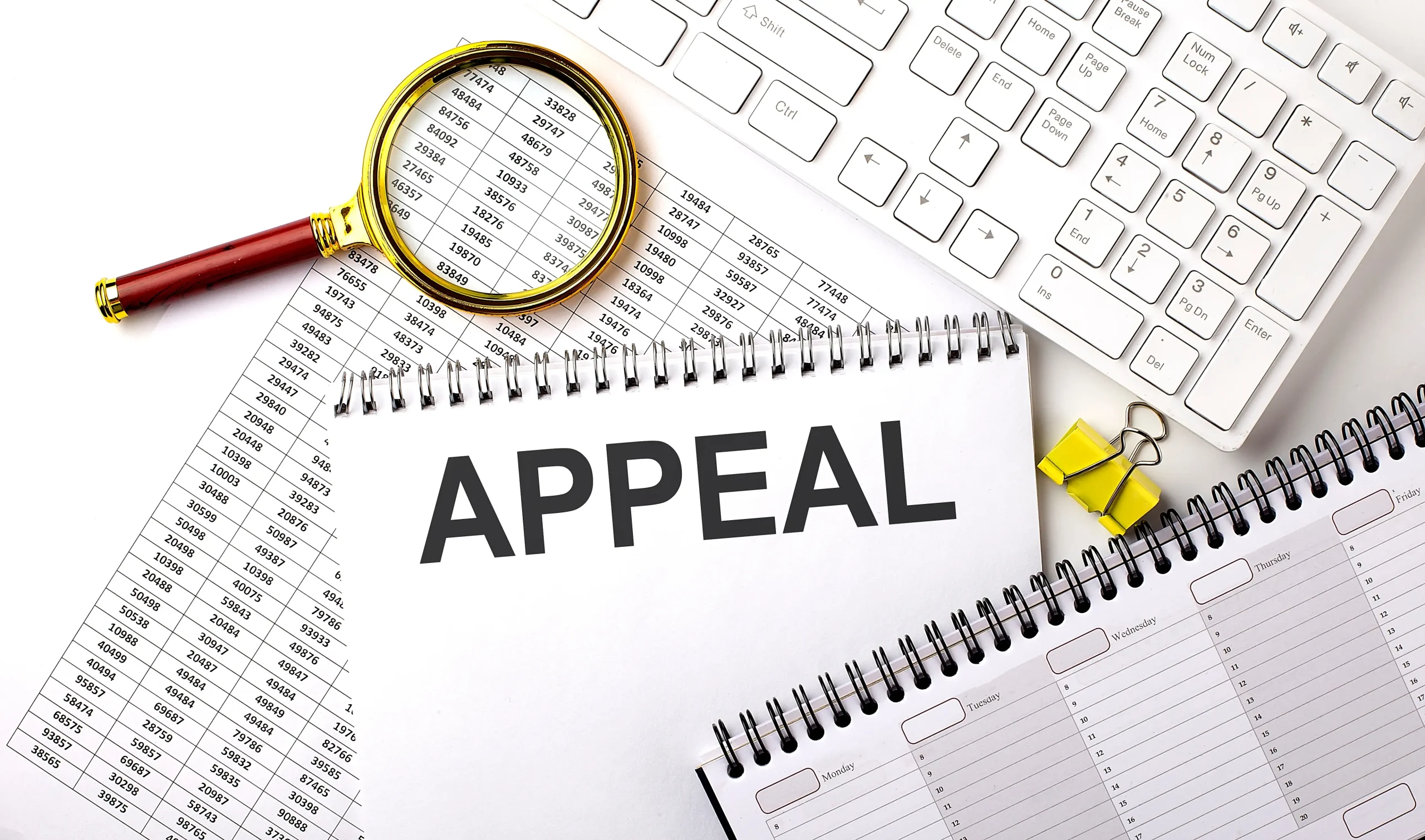 Challenge the Decision in Appellate Tribunal or High Court