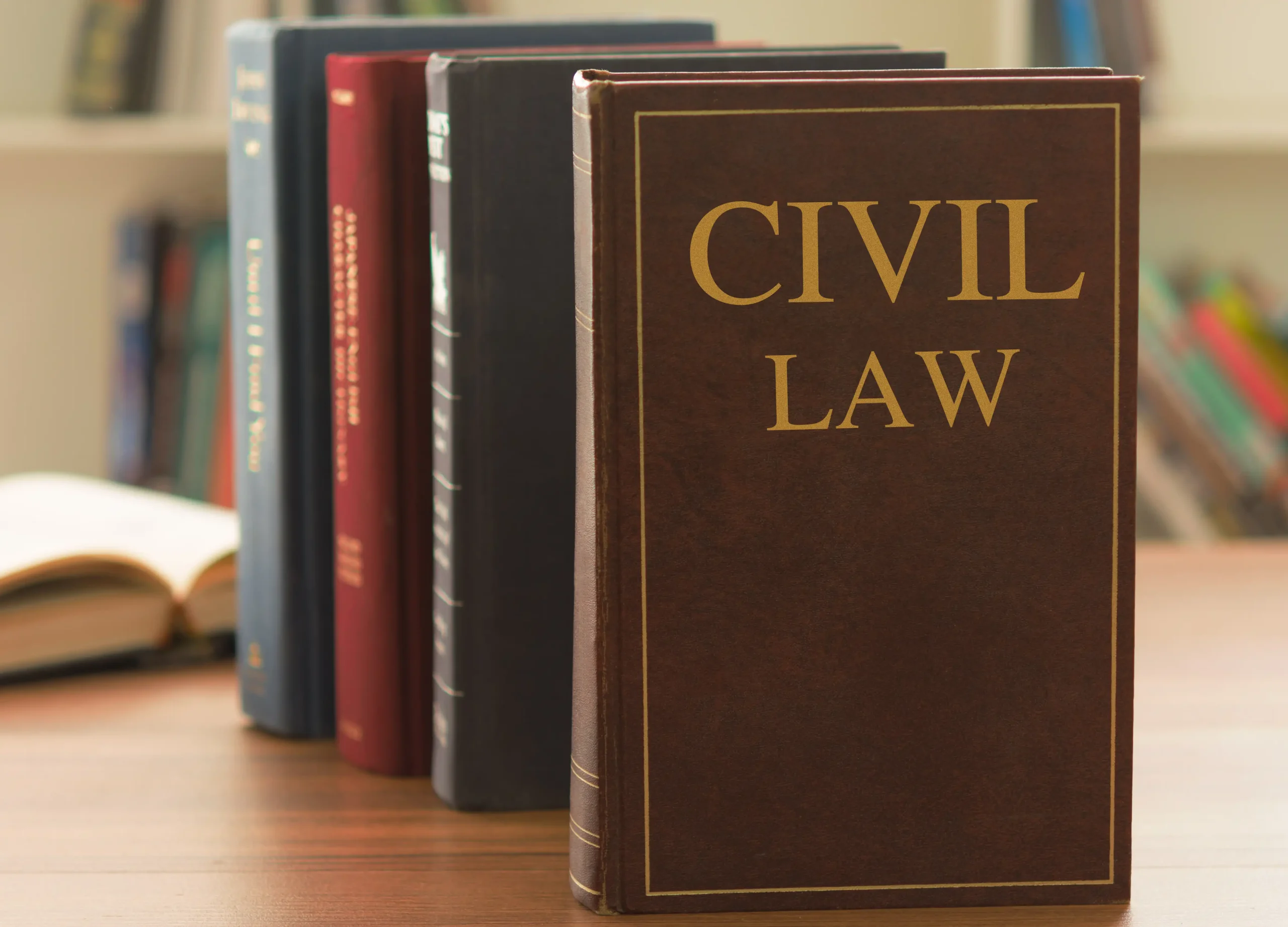 Civil Litigation Ser Image1