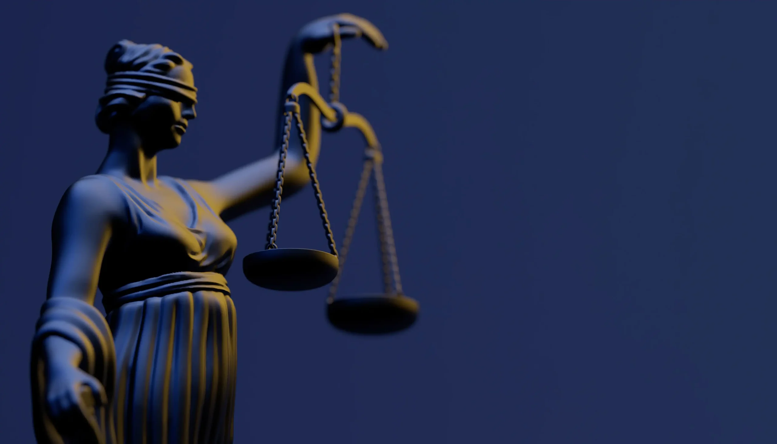 Civil Litigation Ser Image2