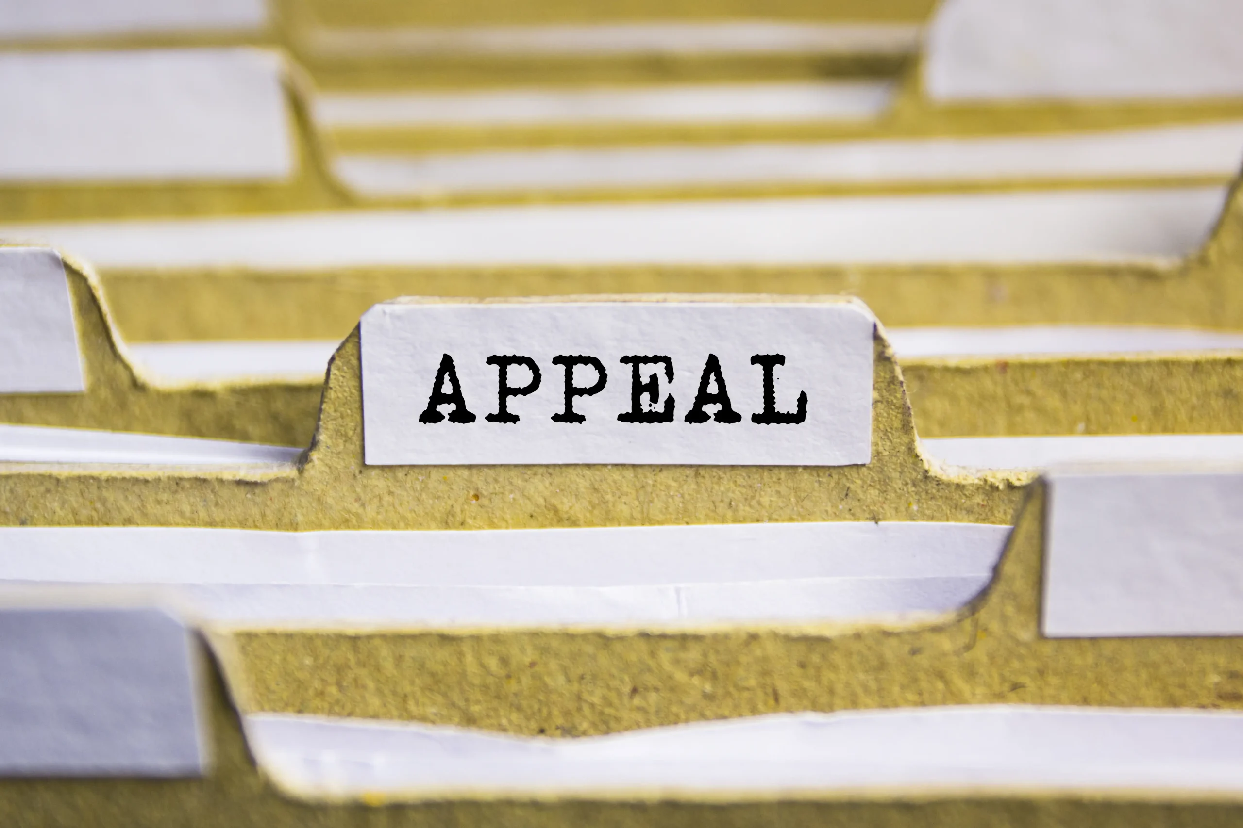 Common-Grounds-for-Departmental-Appeals-s